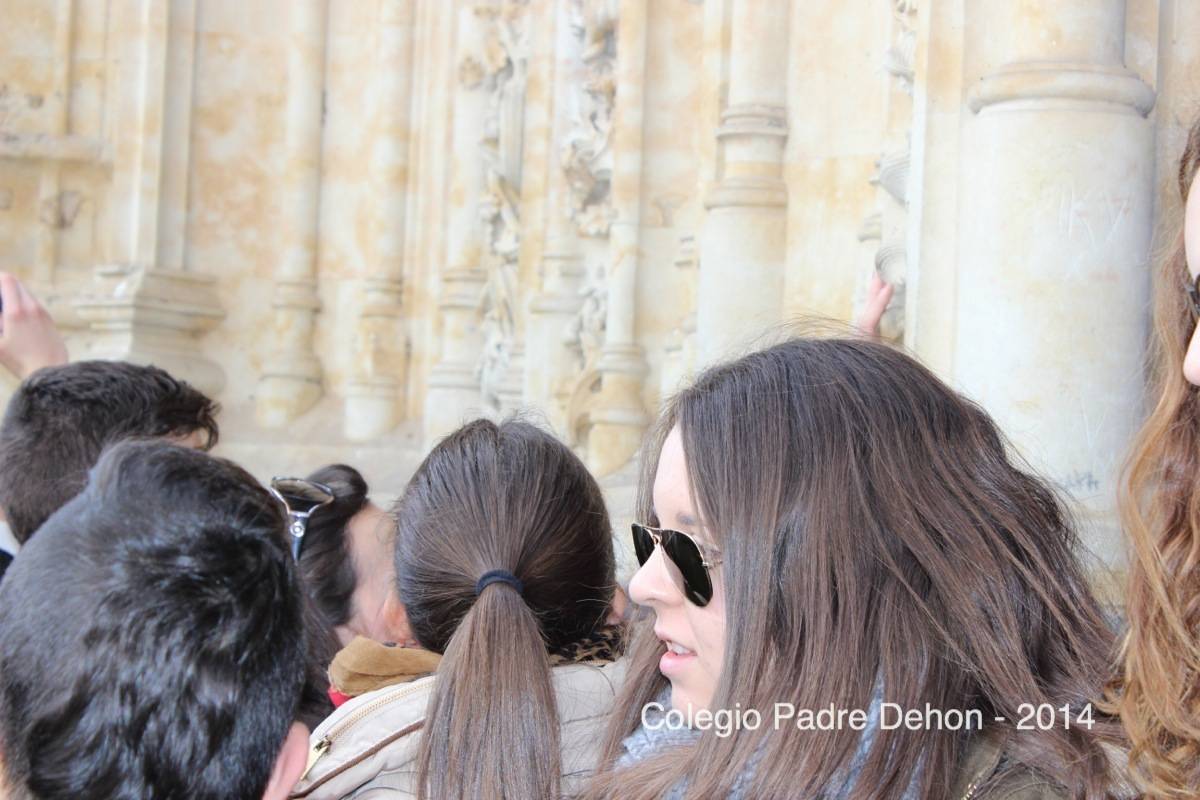 2014 03 22 SALAMANCA CATEDRAL PUERTA DE RAMOS (83)